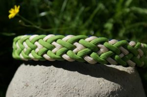 Halsbänder cord4pets