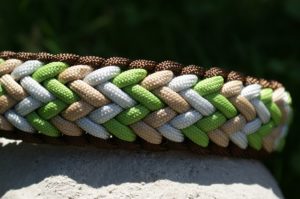 Halsbänder cord4pets