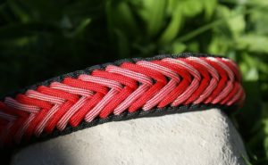 Halsbänder cord4pets