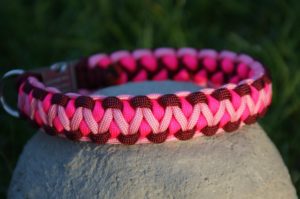 Halsbänder cord4pets