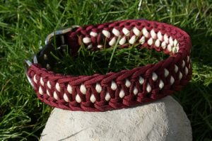 Hundehalsbänder cord4pets