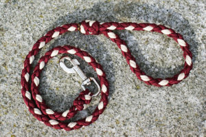 Hundeleinen cord4pets