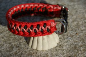 Halsbänder cord4pets