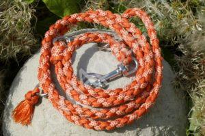 Hundeleinen cord4pets.ch