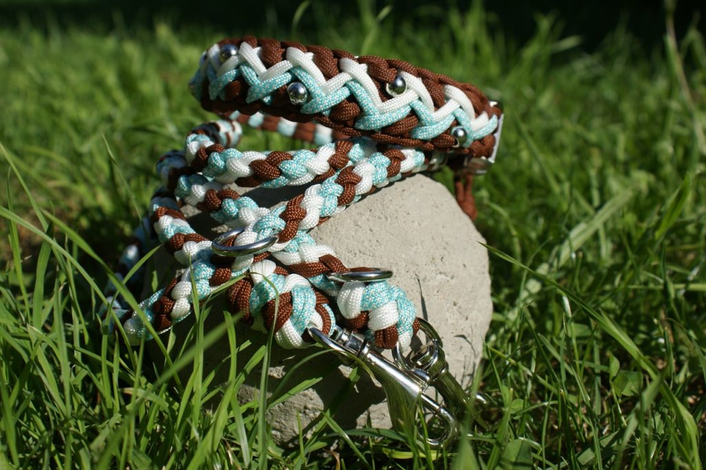 Halsband-Leinen-Set Mountain View - Cord4pets.ch