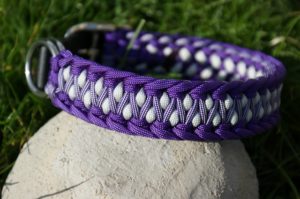 Halsband Turtle mit Rand - Cord4pets.ch